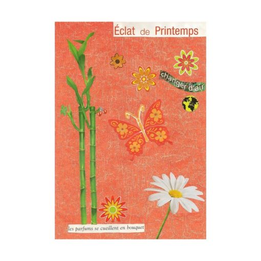 D 031 eclat de printemps