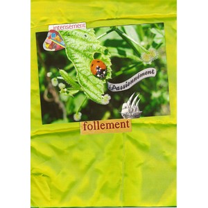 En vie, collage Norlane Deliz, in Le coeur capitaine d'une funambule.