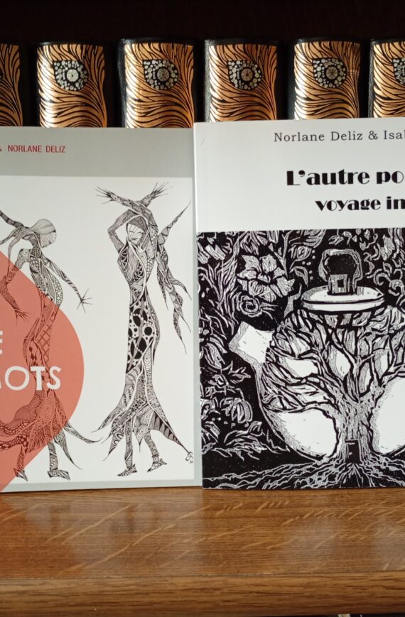 couverture des recueils temps de poésie
