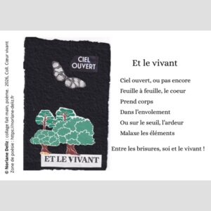 carte poétique Norlane Deliz